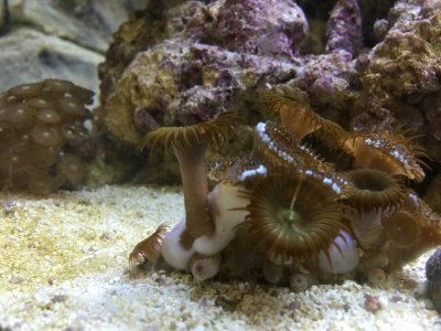 2014-10-21 16.06.52.jpg