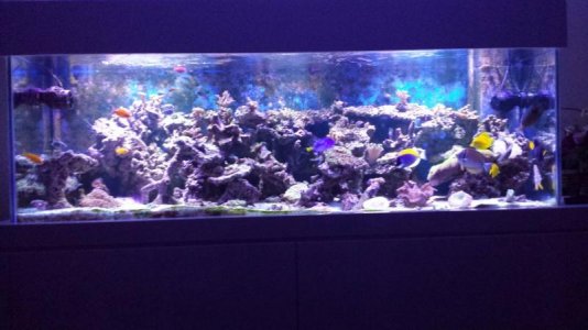 20140922_193244.jpg