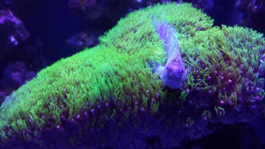 20140118_200634.jpg