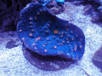 IMG_7209.jpg