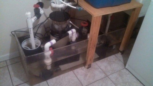 ImageUploadedByTapatalk1414106323.413520.jpg
