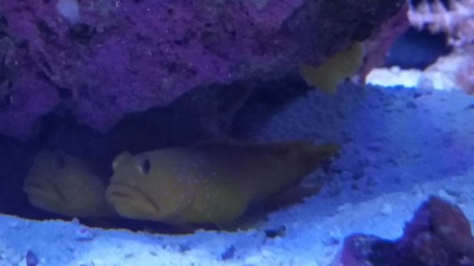 20141024_095844.jpg