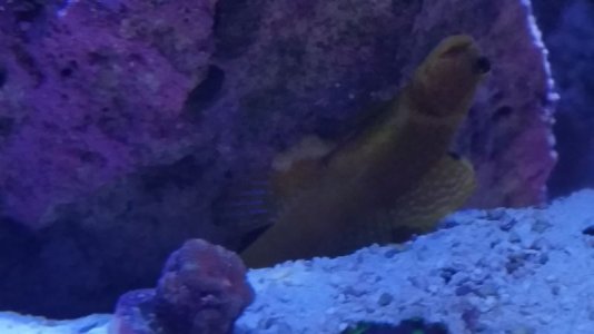20141024_095915.jpg