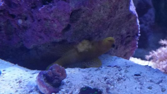 20141024_100603.jpg