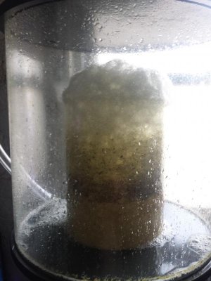 new 10 12 14 013.jpg