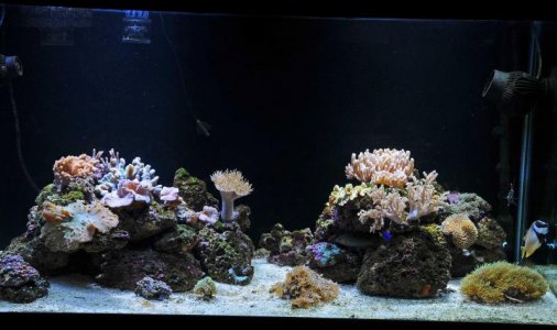 fts 2.jpg