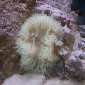 IMG_20141025_155534.jpg