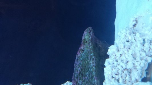 2014-10-25 18.44.01.jpg