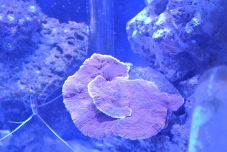 Cave turned Green to Red2.jpg