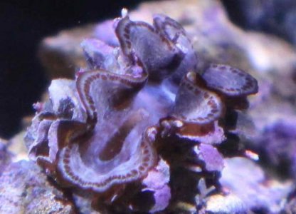 IMG_3290 - Version 2.jpg