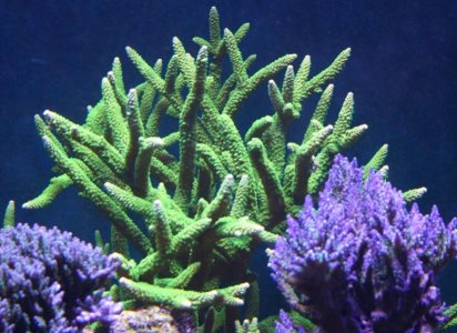 IMG_8773.jpg