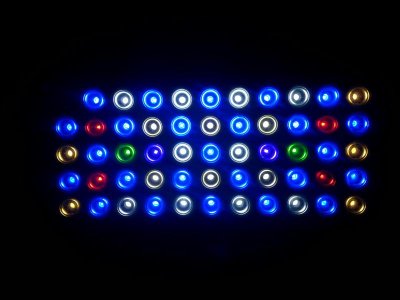 LEDS.jpg