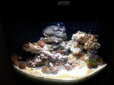 20141019-Whites.jpg