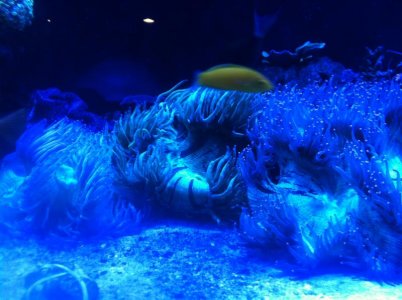 IMG_0054.jpg