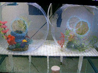 Picture 095.jpg