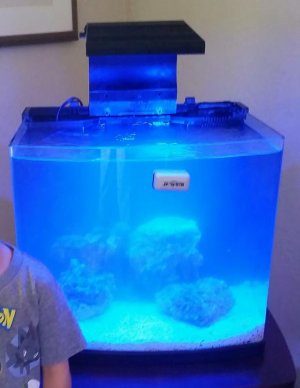 2014-10-19 10.52.11.jpg