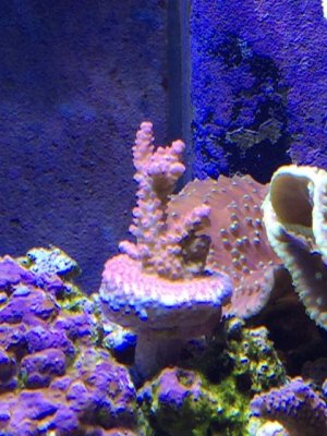 IMG_1137.jpg