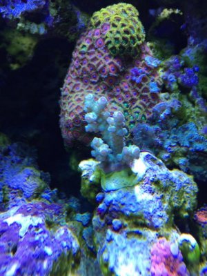 IMG_1138.jpg