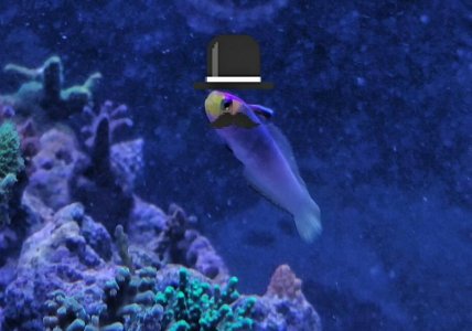 2014-10-22 19.15.56~2.jpg