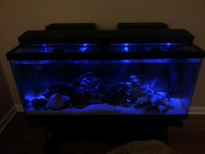 20141105_005157.jpg