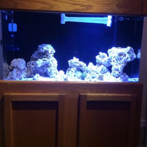 aFront 50 Coral Day 1.jpg