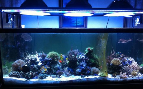 300 WITH SEPERATOR.jpg