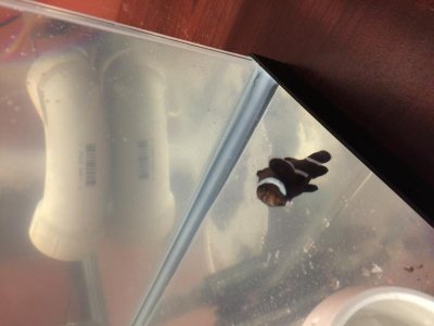 IMG_9316.JPG (2).jpg