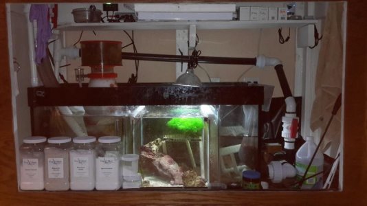 20141109_164230.jpg