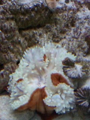 20141110_125441.jpg