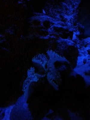 20141110_053857.jpg