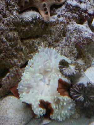 20141110_125341.jpg