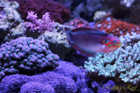 IMG_7044_resize.jpg