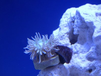 IMG_1648.jpg