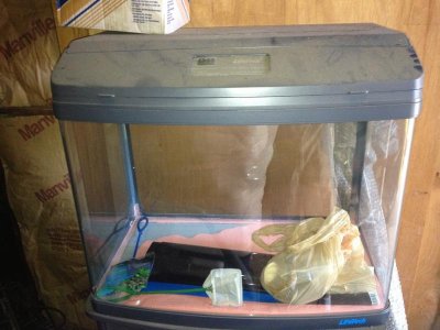 26 Gallon Tank.jpg