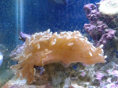 20141112_181032.jpg