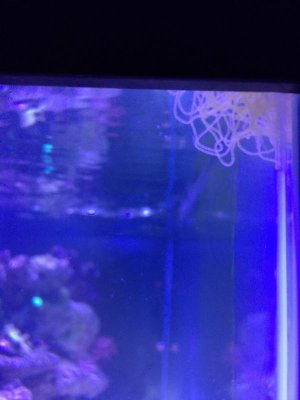 ImageUploadedByTapatalk1415890752.993058.jpg ImageUploadedByTapatalk1415890752.993058.jpg