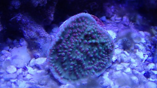 PB151891.jpg