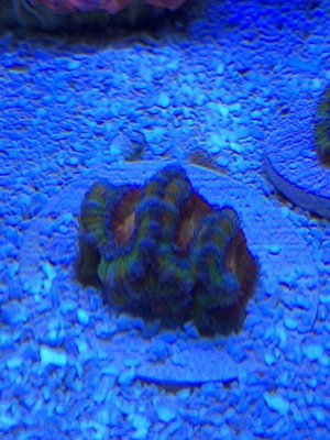 ImageUploadedByTapatalk1416201642.453244.jpg