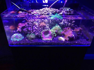 IMG_1097 copy.jpg