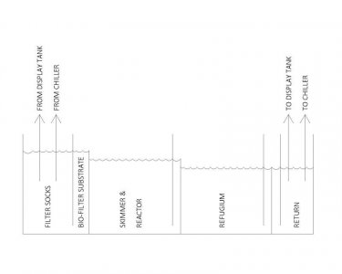 Project Mr Salty 2.0.jpg