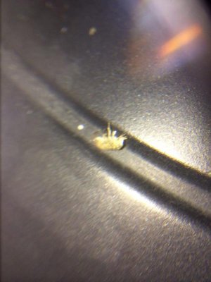 ImageUploadedByTapatalk1416421986.112729.jpg ImageUploadedByTapatalk1416421986.112729.jpg