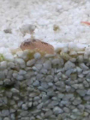 20141030_100625.jpg