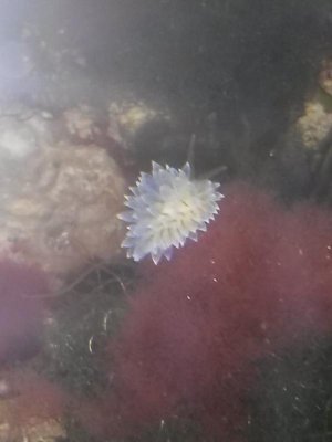 20141109_202628.jpg