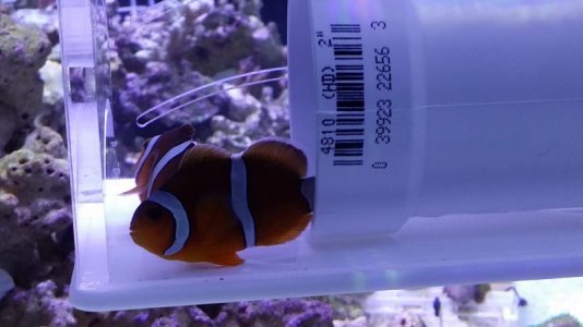 20141120_105123_S Apartment.jpg