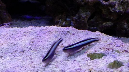 20141120_105041_S Apartment.jpg