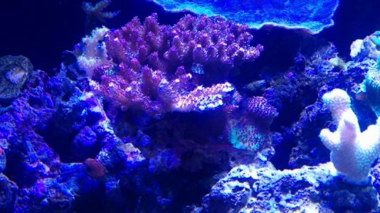 IMG_20141119_163244.jpg