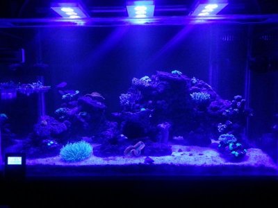 20141119_222019_resized.jpg