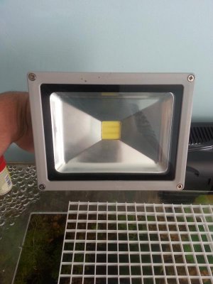 2014-11-21 11.36.35.jpg