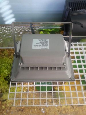 2014-11-21 11.36.20.jpg