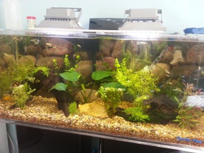 2014-11-21 11.36.10.jpg